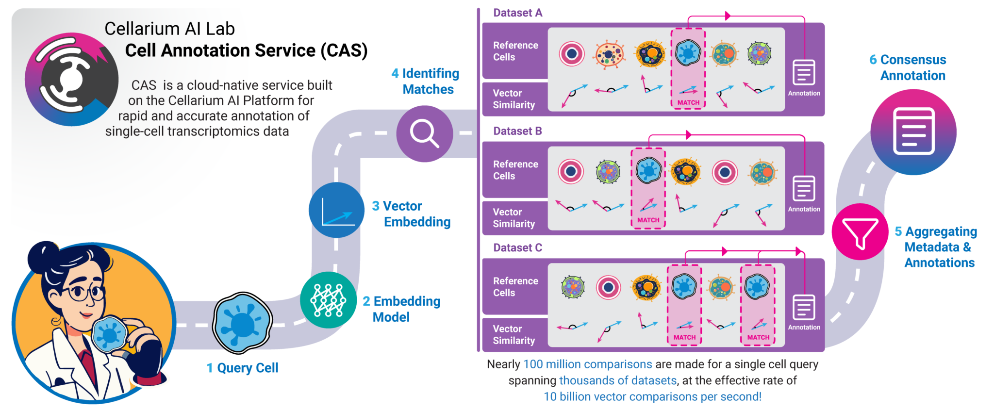 Schematic of the Cell Annotation Service pipeline. Given a query cell, the tool performs a series of steps to generate a consensus annotation.