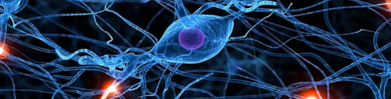 Artist rendering of a network of neurons